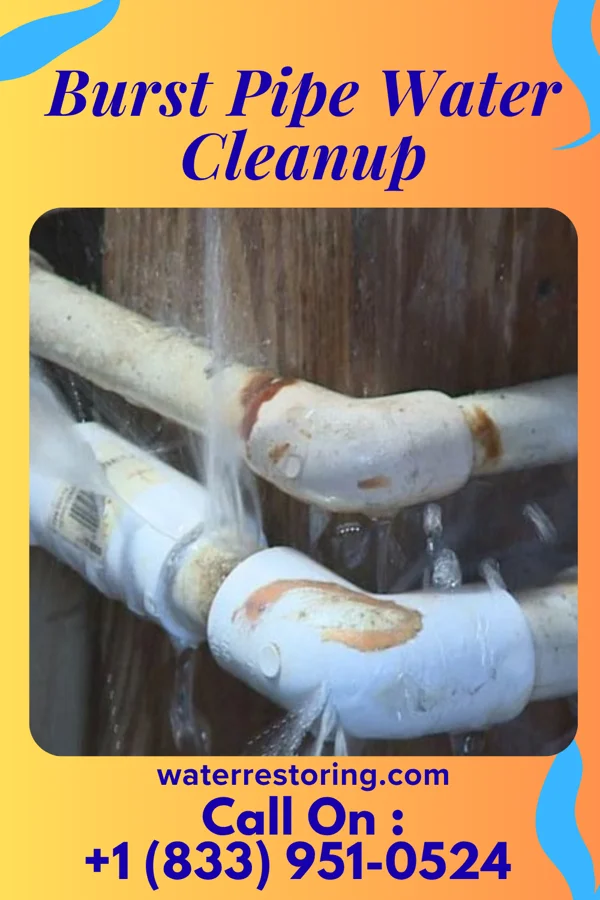Burst Pipe Water Cleanup in Kensington Park, FL
