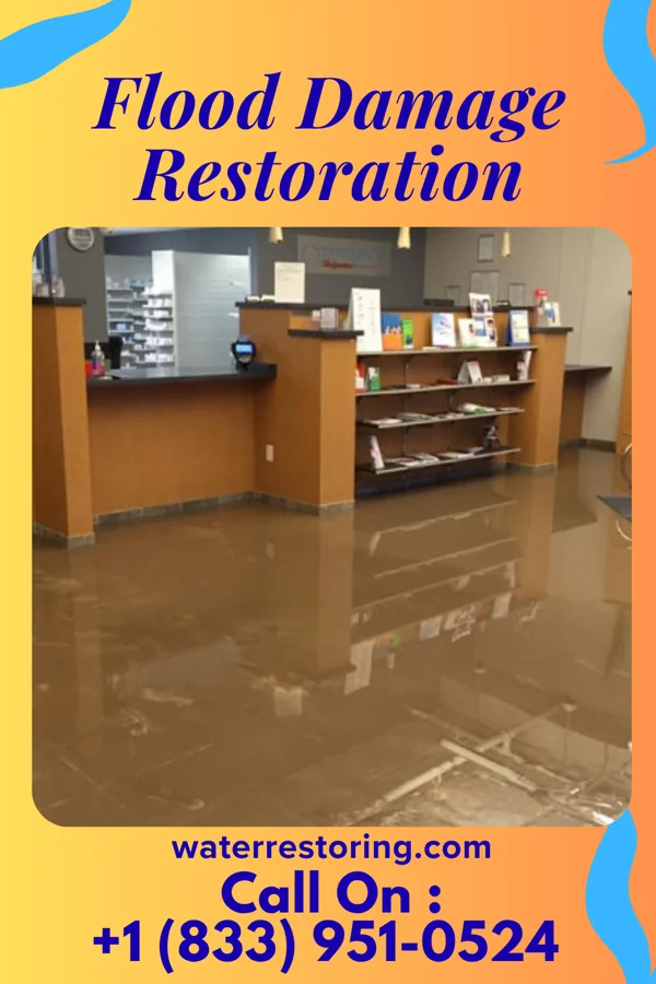 Flood Damage Restoration in Kensington Park, FL