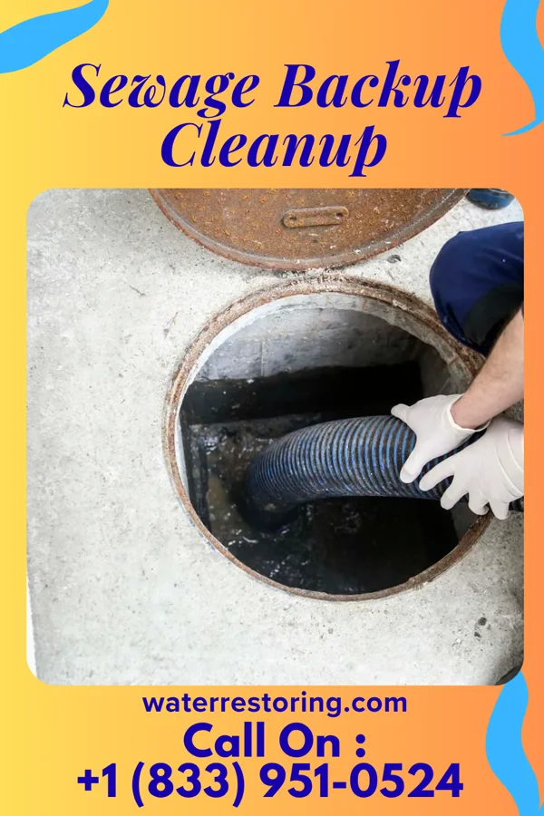 Sewage Backup Cleanup in Kensington Park, FL