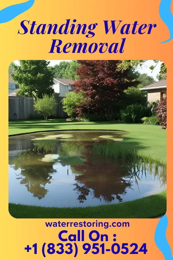 Standing Water Removal in Kensington Park, FL